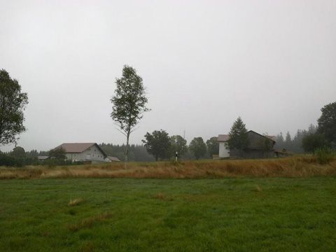 Foto 236